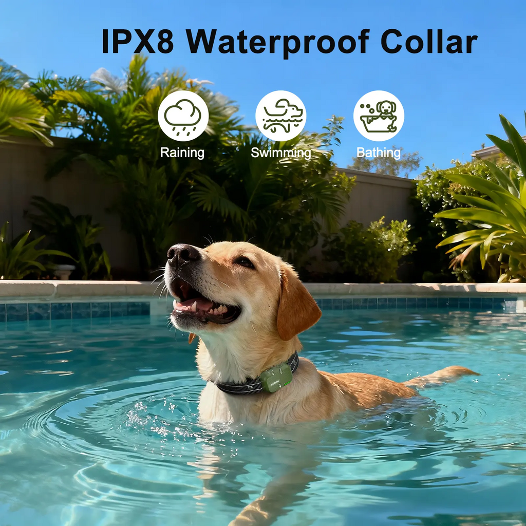 1 Dog Training Collar 4500FT Dog Training Behavior Aid, Remote IPX8 Waterproof with 4 Training Modes, Outdoor Rechargeable E-Collar DT61