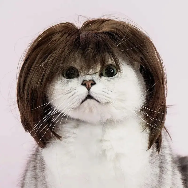 Cute Short Hair Wig Pet Headband, Funny Pet Wig Hair Accessories for Dogs & Cats, Valentine's Day Gift