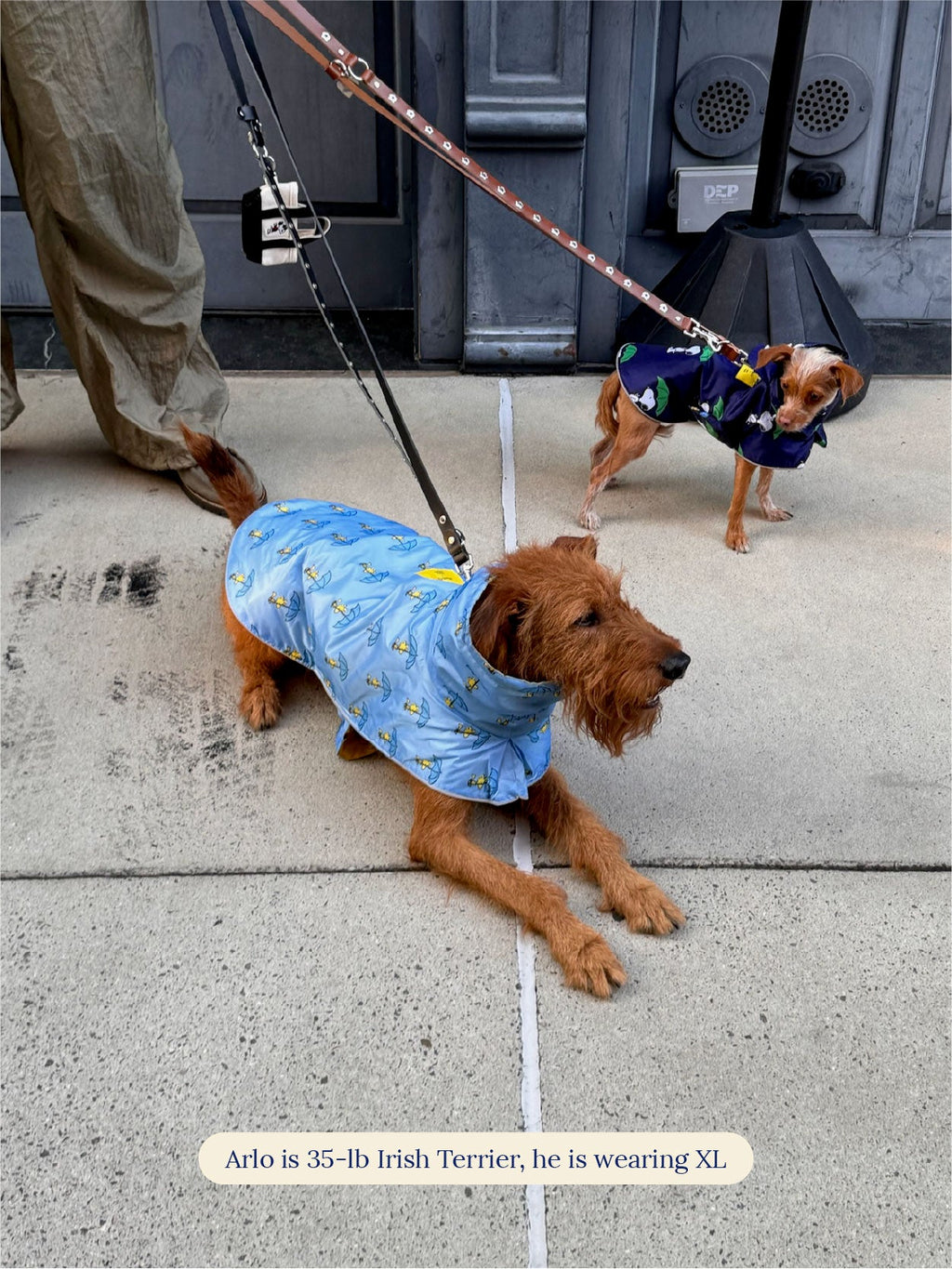 Snoopy and Woodstock Raincoat - Yellow / Blue