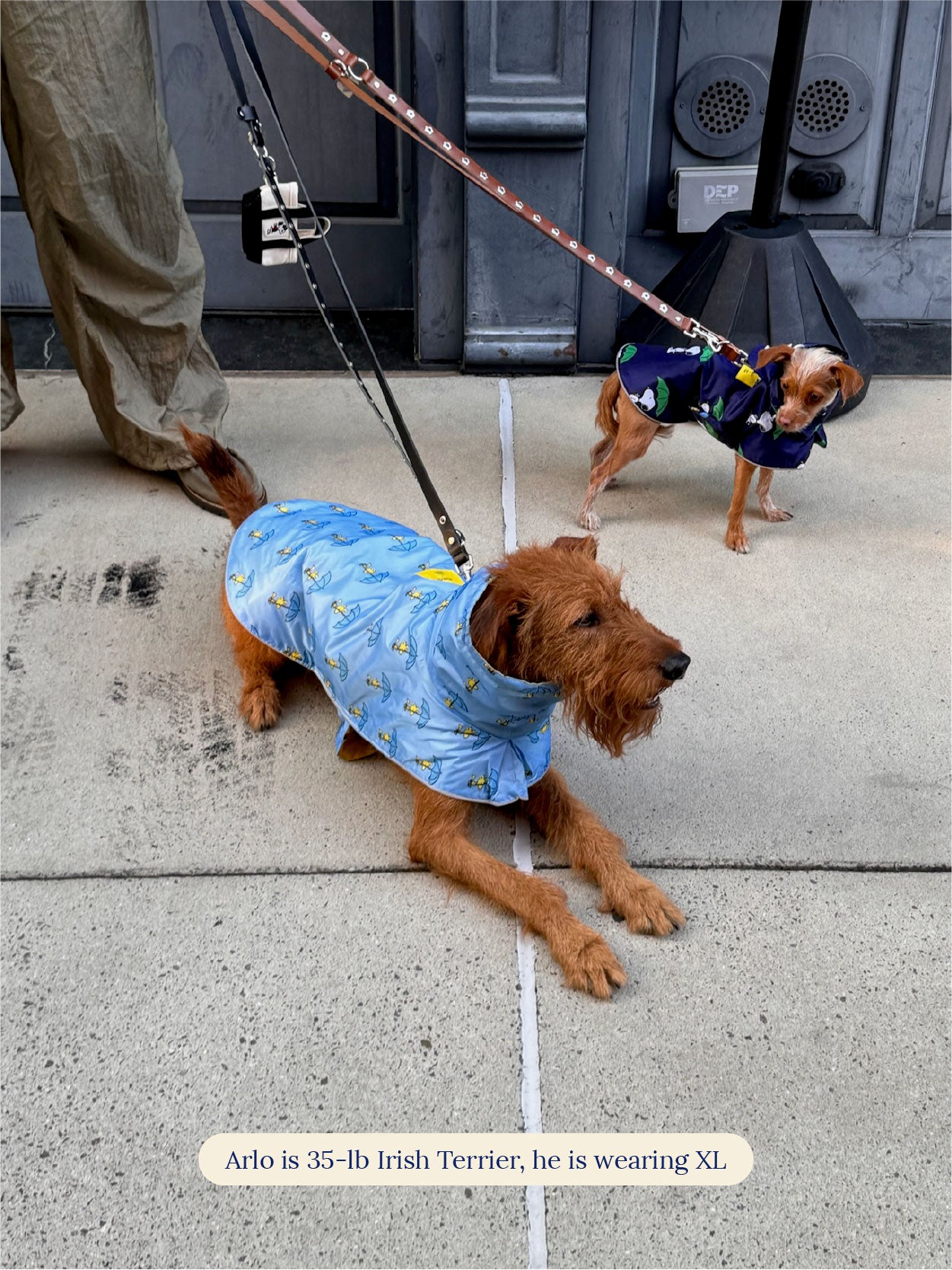 Snoopy and Woodstock Raincoat - Yellow / Blue