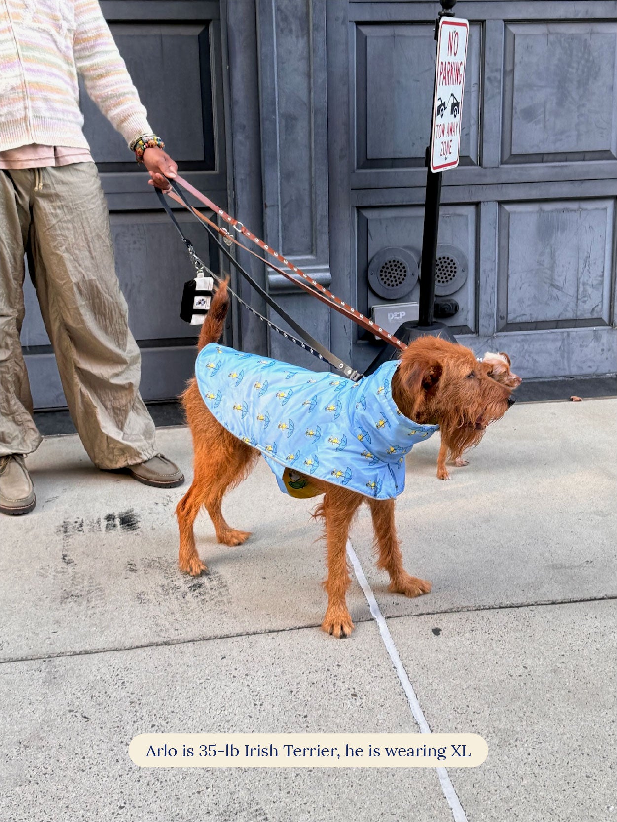 Snoopy and Woodstock Raincoat - Yellow / Blue