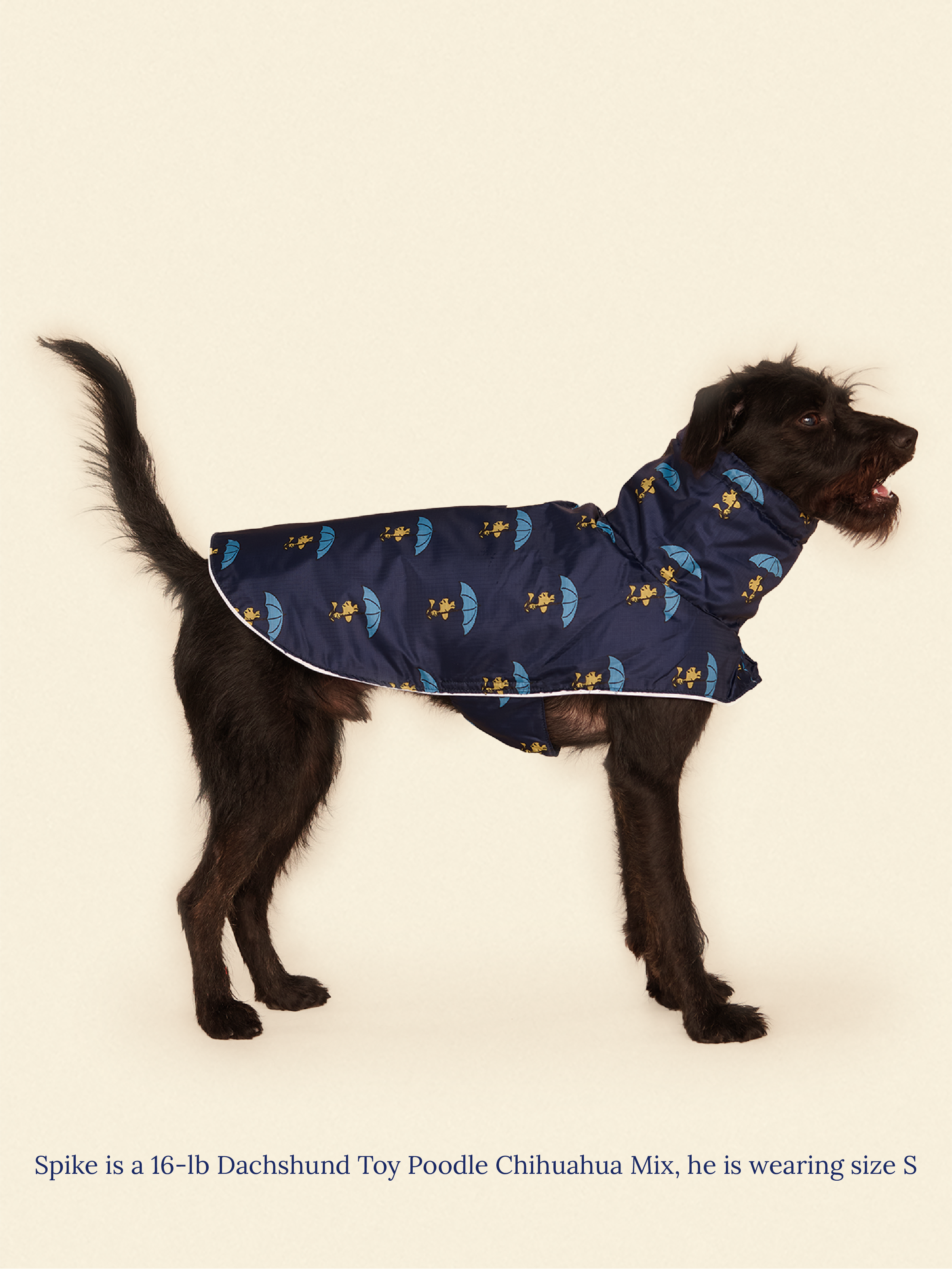 Snoopy and Woodstock Raincoat - Navy