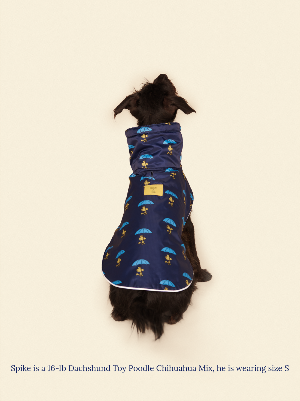 Snoopy and Woodstock Raincoat - Navy