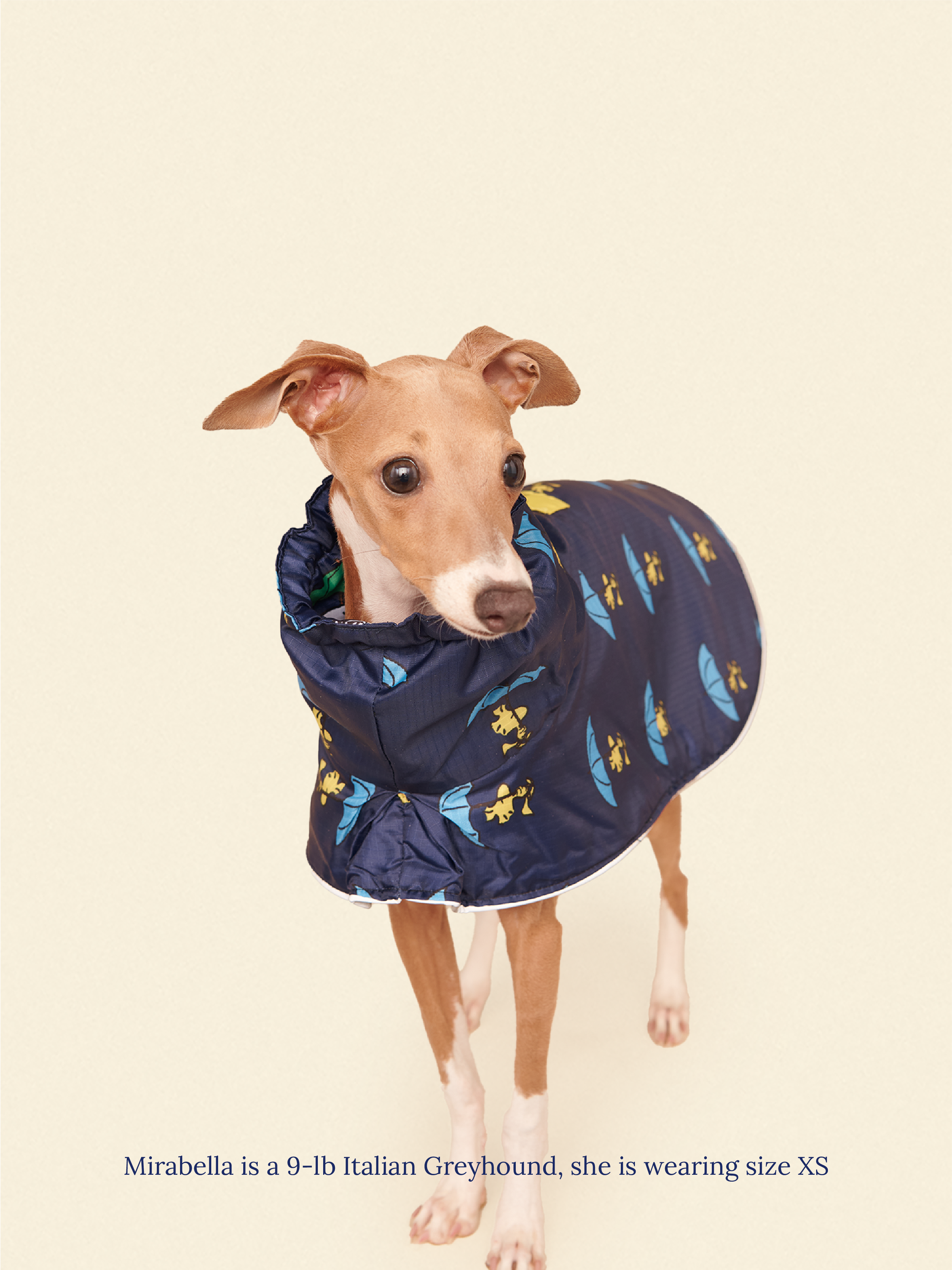 Snoopy and Woodstock Raincoat - Navy