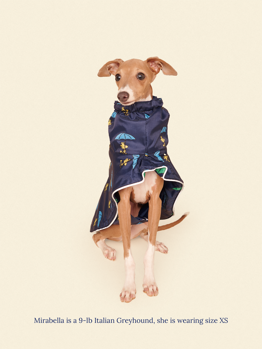 Snoopy and Woodstock Raincoat - Navy