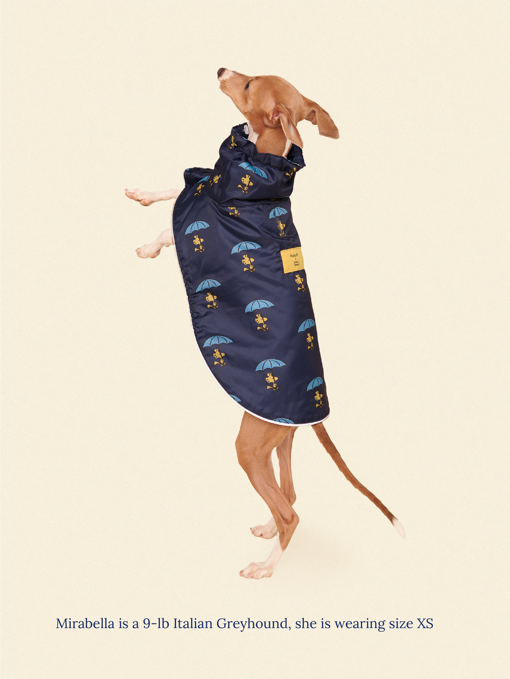 Snoopy and Woodstock Raincoat - Navy