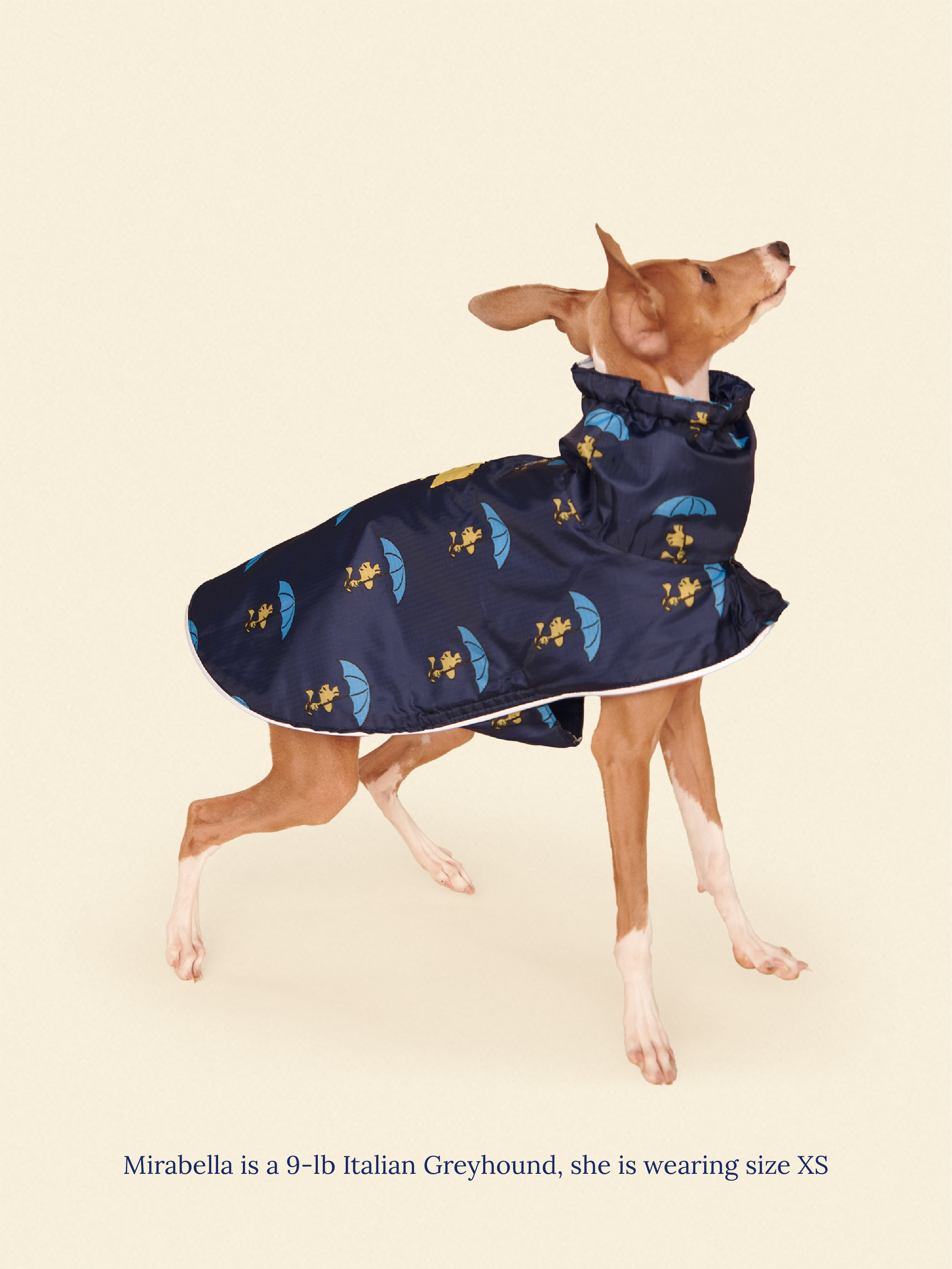 Snoopy and Woodstock Raincoat - Navy