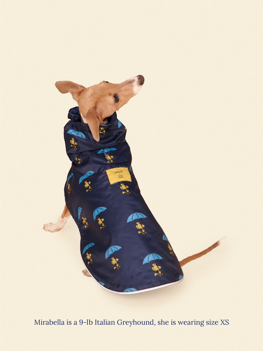 Snoopy and Woodstock Raincoat - Navy