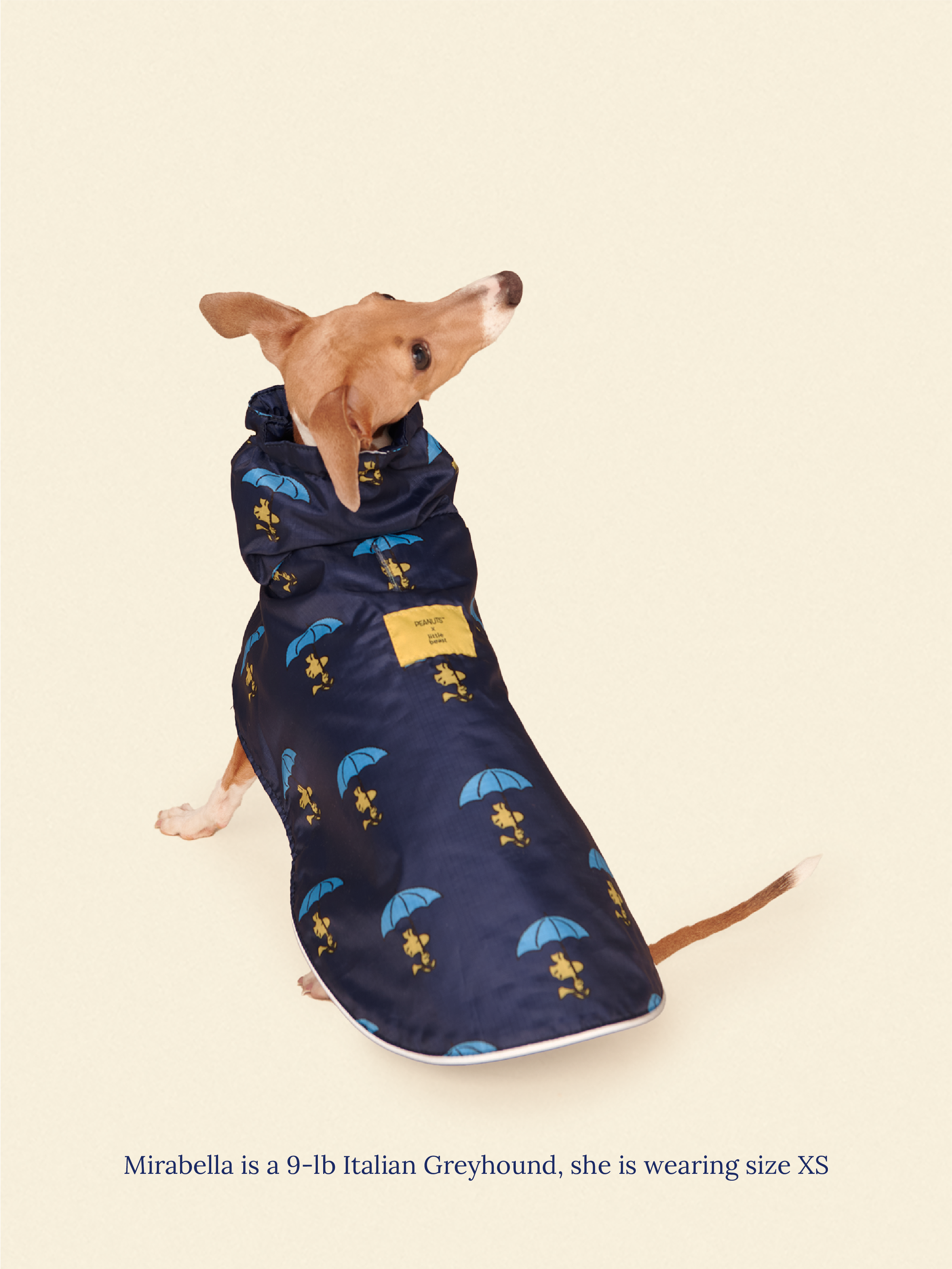Snoopy and Woodstock Raincoat - Navy