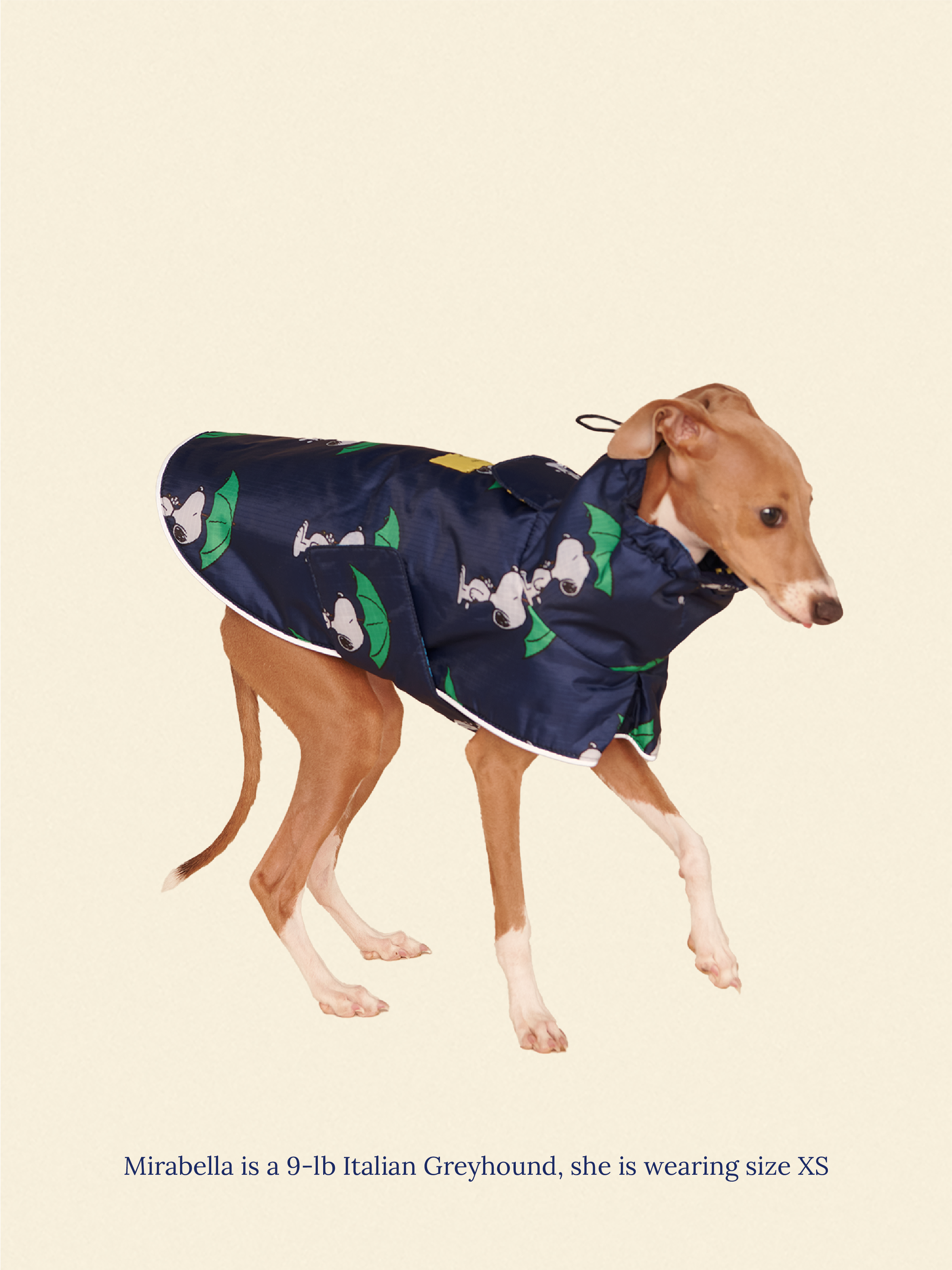 Snoopy and Woodstock Raincoat - Navy