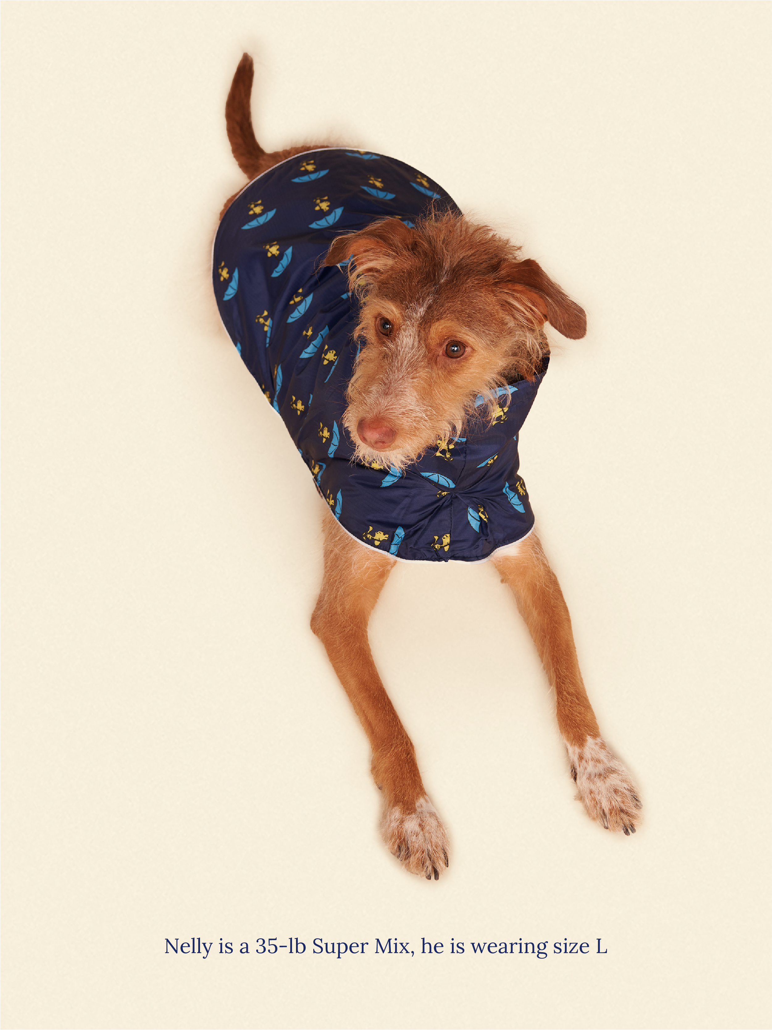 Snoopy and Woodstock Raincoat - Navy