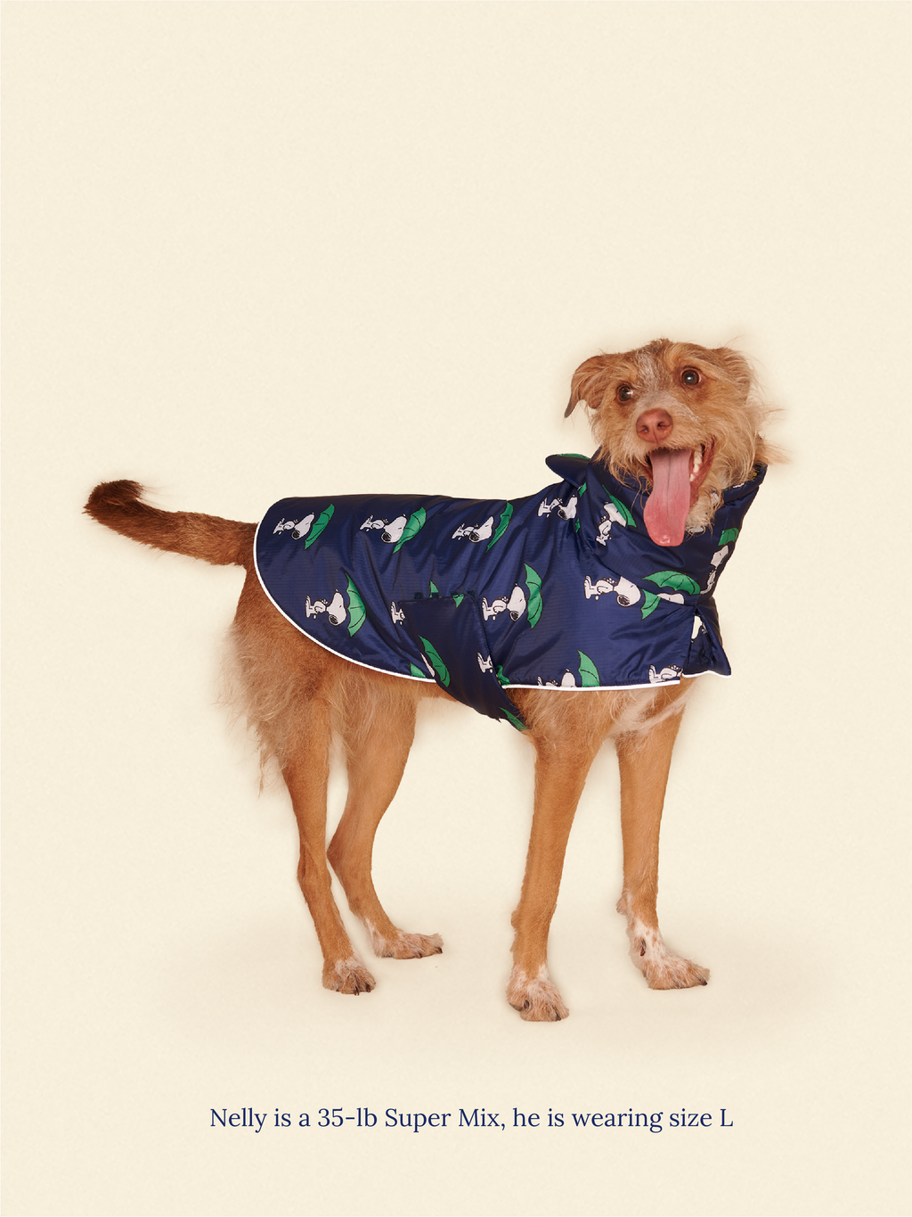 Snoopy and Woodstock Raincoat - Navy