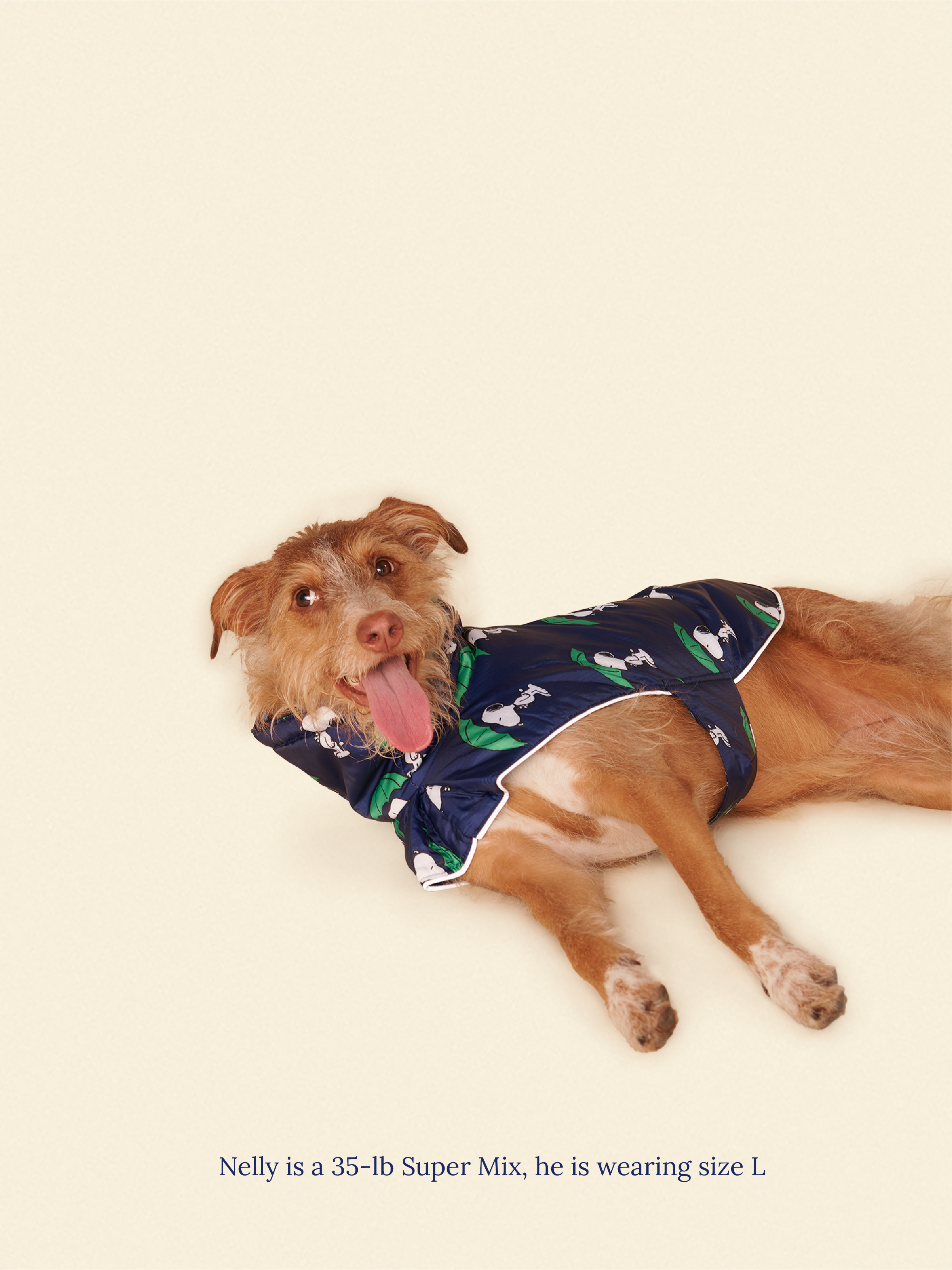 Snoopy and Woodstock Raincoat - Navy