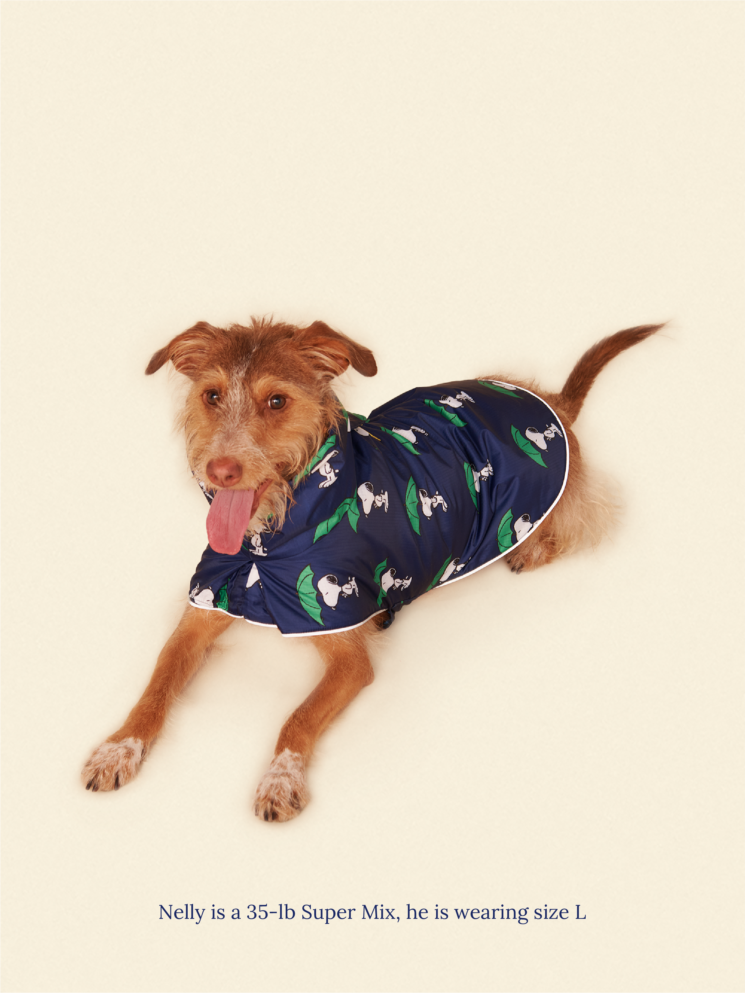 Snoopy and Woodstock Raincoat - Navy