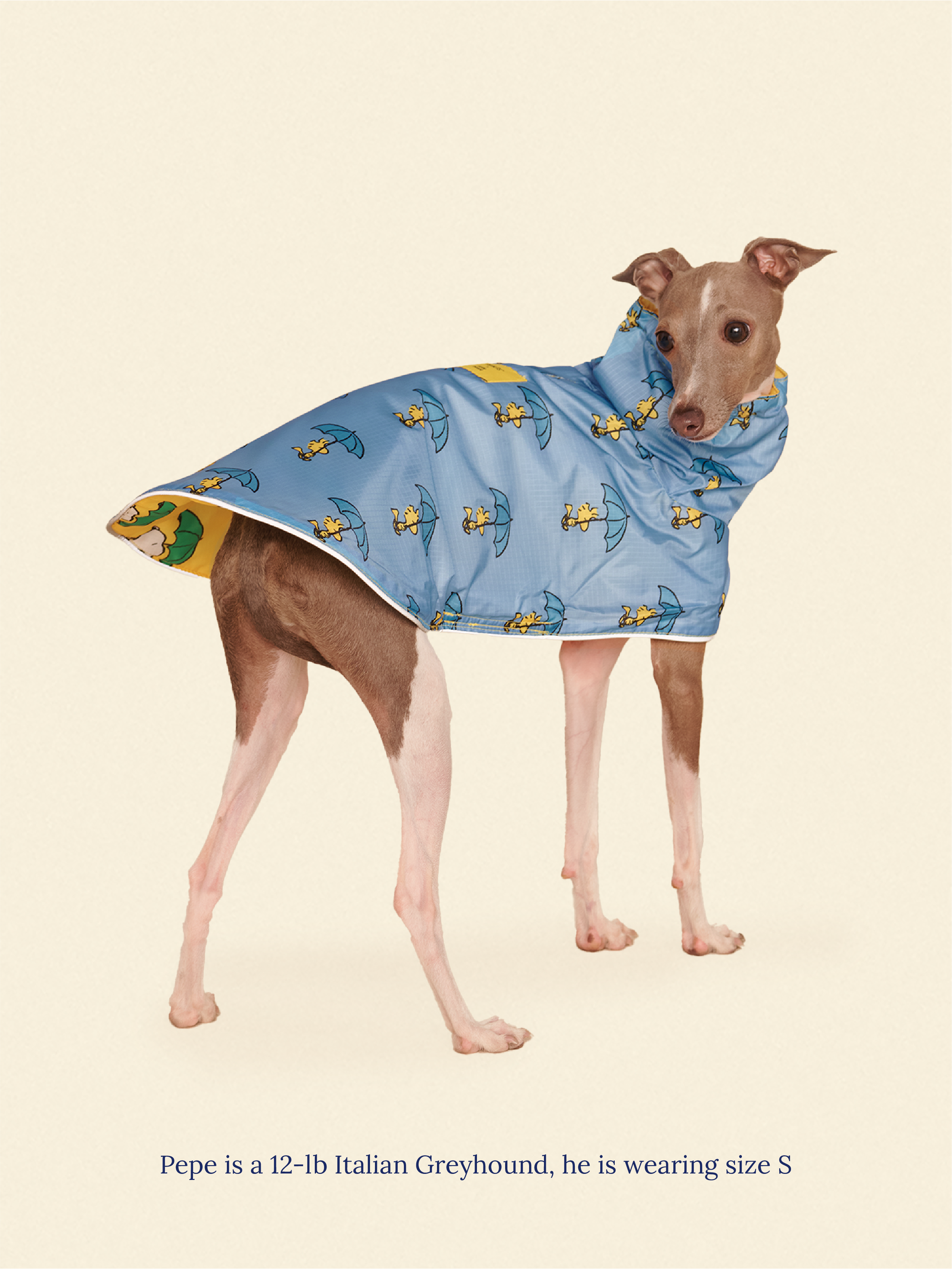 Snoopy and Woodstock Raincoat - Yellow / Blue