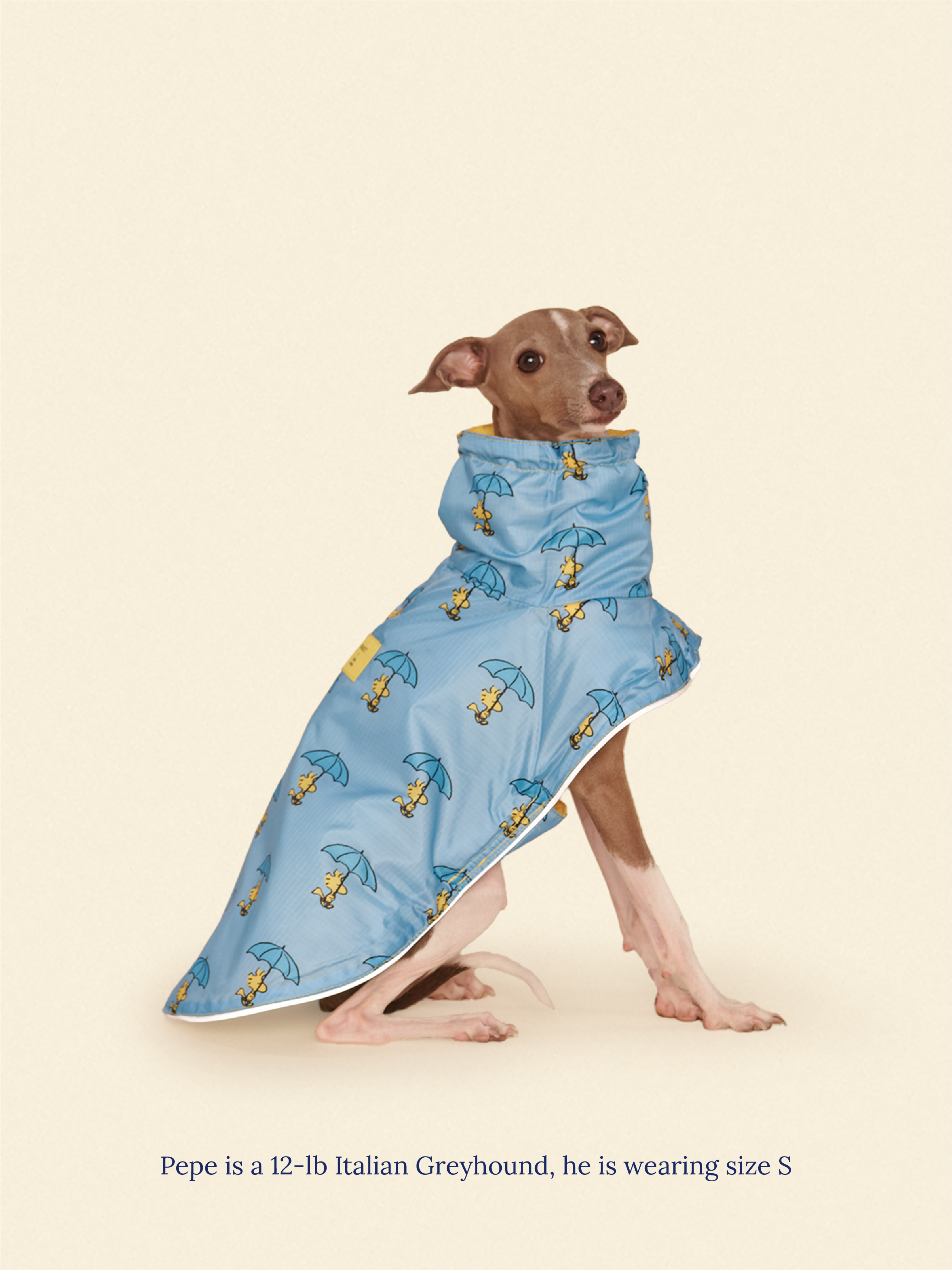 Snoopy and Woodstock Raincoat - Yellow / Blue