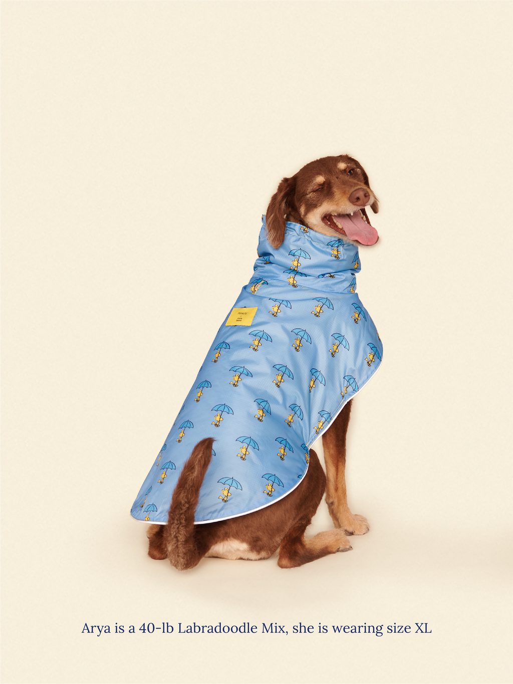 Snoopy and Woodstock Raincoat - Yellow / Blue