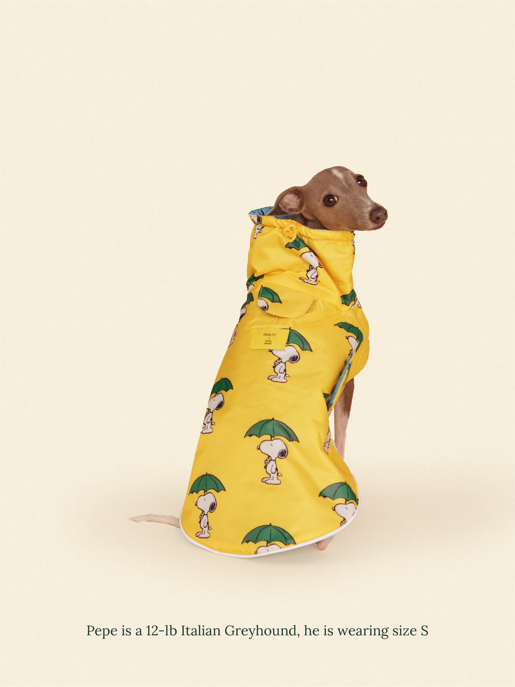 Snoopy and Woodstock Raincoat - Yellow / Blue