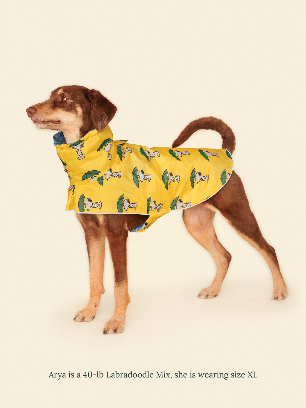 Snoopy and Woodstock Raincoat - Yellow / Blue