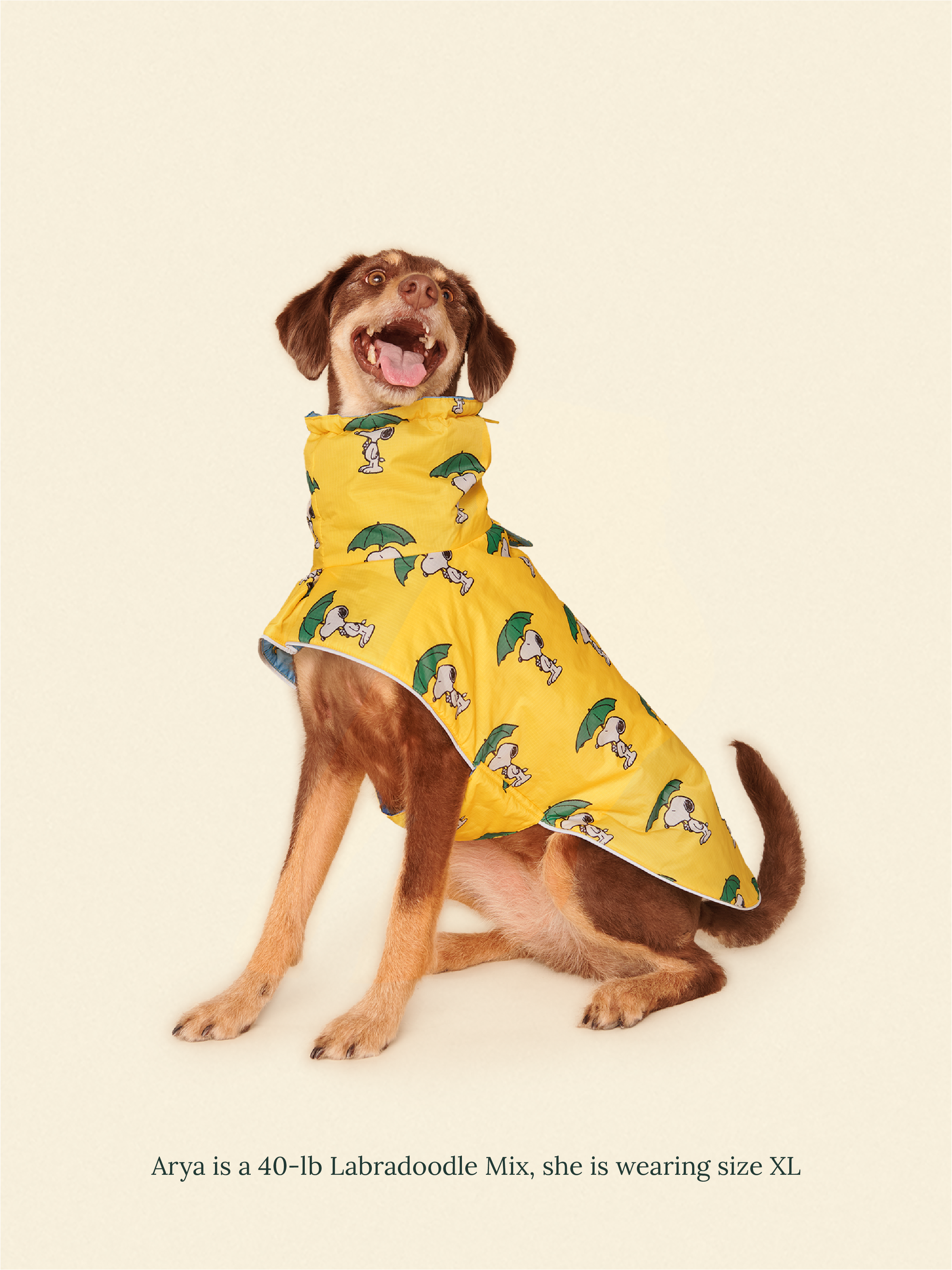 Snoopy and Woodstock Raincoat - Yellow / Blue
